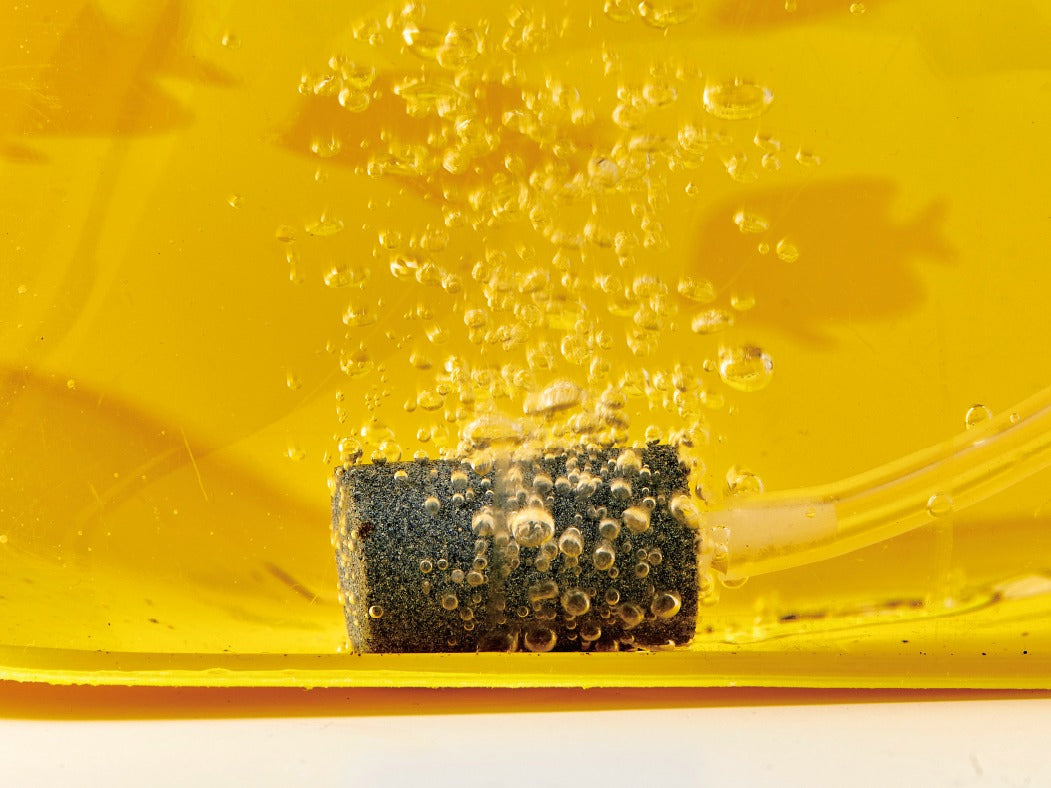 うきまろ ぷくぷくエアーポンプ1200