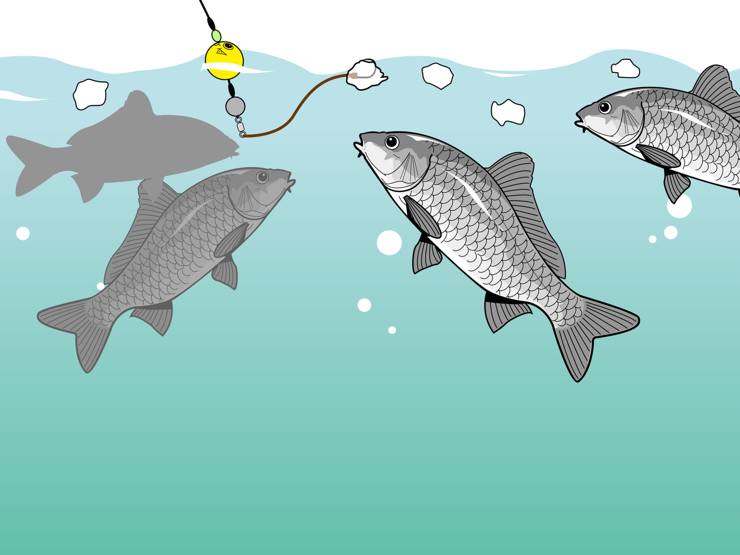 うきまろ パン鯉仕掛