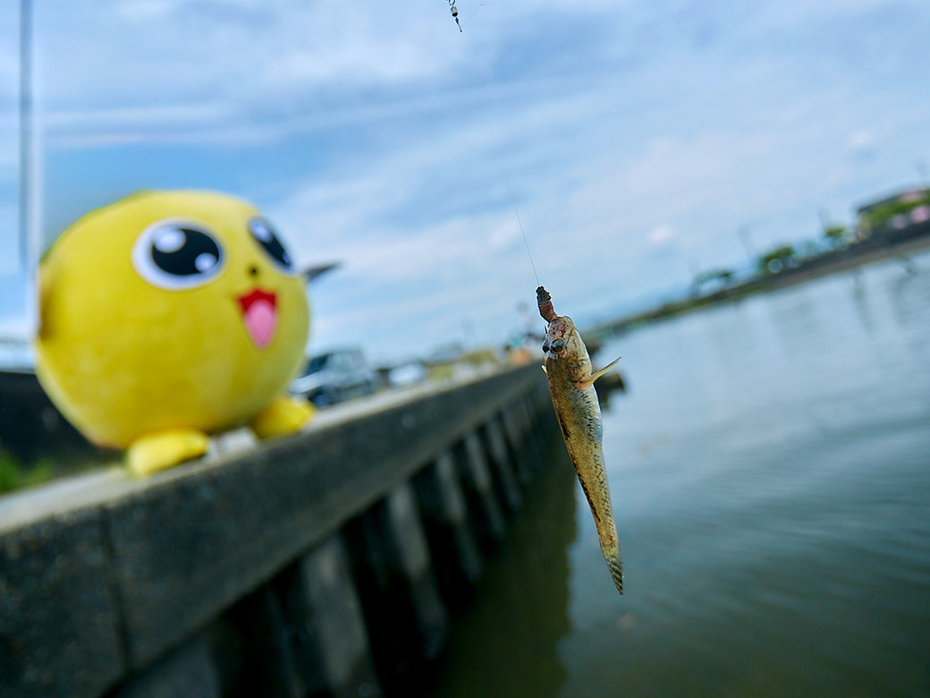 うきまろ ハゼ玉ウキ仕掛
